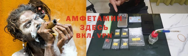 гидра Белокуриха