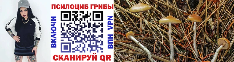 купить   Олёкминск  hydra ссылка  Галлюциногенные грибы прущие грибы 